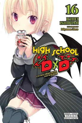 High School DxD, Vol. 16 (light novel) (Volume 16) (High School DxD (light novel), 16) Paperback  May 20, 2025